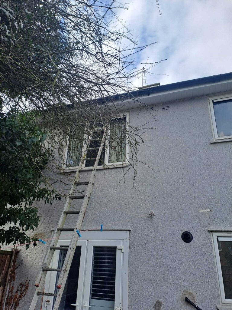 DAT Building Solutions – Quality Plastering and Rendering Services in Essex DAT Building Solutions – Quality Plastering and Rendering Services in Essex